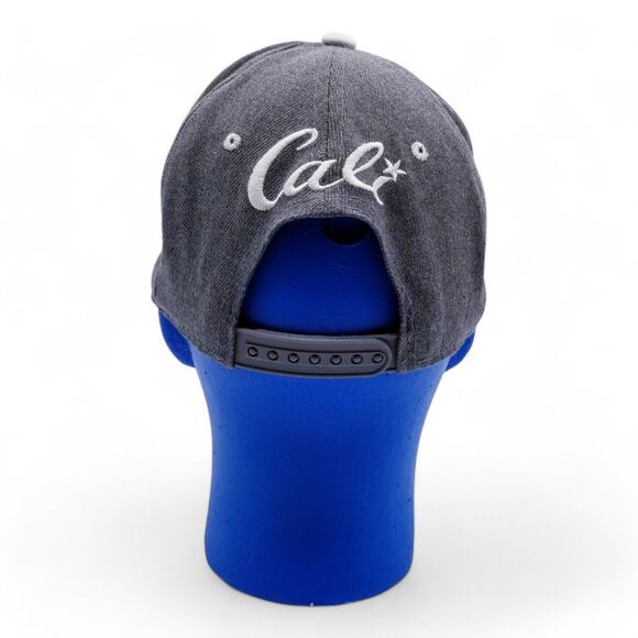 CALIFORNIA REPUBLIC Brand California Bear Embroidered Snapback Gray Cap - Picture 5 of 11